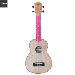 Ukulele Soprano 21 ABS Color Séries Winner PK