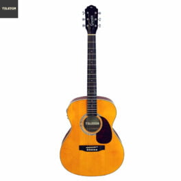 Violão Aço Eletroacústico Giannini Performance Plus GAD Plus EQ NG