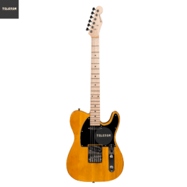 Guitarra Telecaster Michael Slide GM385N AM