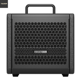 Amplificador para Guitarra Vosstorm GX-6